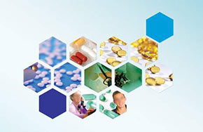 药事管理专业就业方向