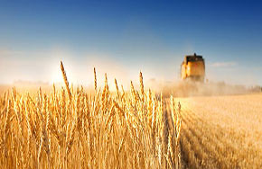 农林经济管理专业就业方向