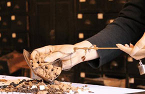 中药制药专业就业方向