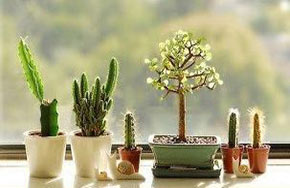 新国标来袭，空气净化器玩家如何借势玩出新花样？