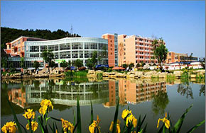 贵州省政府批复建立贵州电子科技职业学院