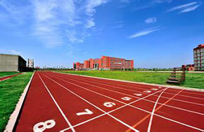 省大中学生定向锦标赛落幕  光明新区高中获团体总分第一