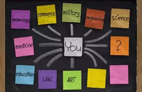 文科生应该选择什么样的专业