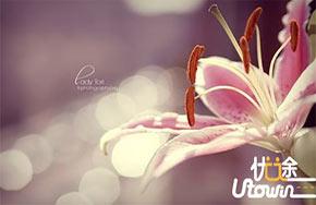 活着，就是一场修行