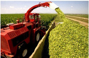 自动化专业就业方向及就业前景如何