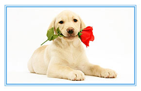 动物科学专业就业方向